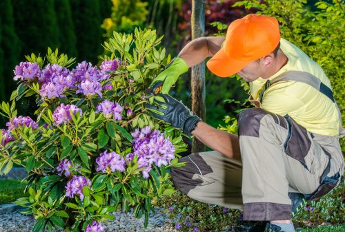 Gardening safety policy introduction with protective approach
