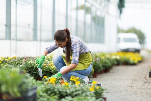 Professional garden trimming and border care in Emerson Park