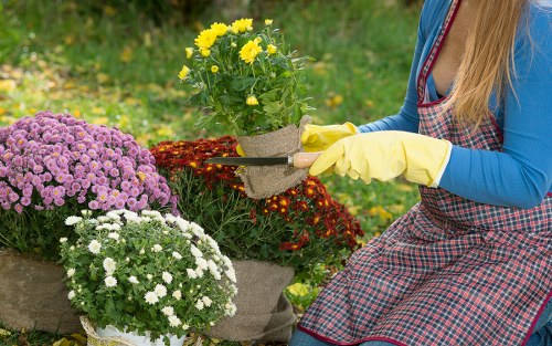 Eco-friendly garden recycling and reuse in Emerson Park with compostable materials