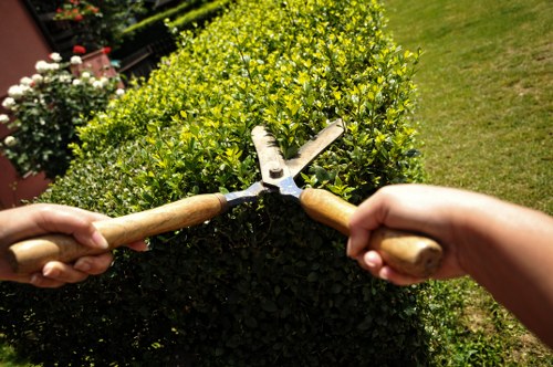 Free quote discussion for a suburban Emerson Park property
