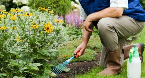 Cleared garden space in Emerson Park after debris removal