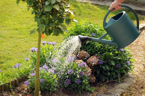 Reusable plants and tools prepared for charity donation after garden work