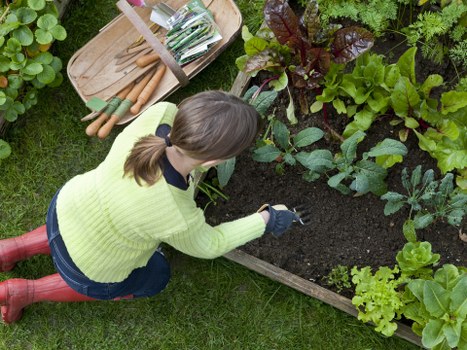 Supply chain risk awareness for Emerson Park gardeners