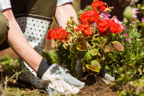 Professional lawn care in Emerson Park with mowing and watering