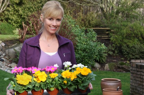 Regular garden maintenance in Emerson Park supporting healthy lawns and borders