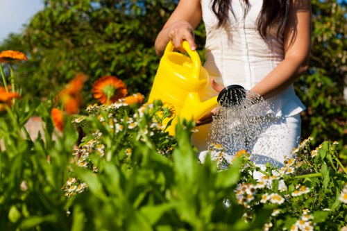 Final review and resolution in a garden service complaints process