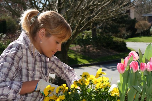 Insured gardeners in Emerson Park planning a safe garden task