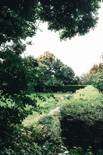 A neat front garden viewed through overhanging tree branches, with a well-maintained lawn bordered by lush, trimmed shrubs and flower beds. The garden features a variety of plants, including dense eve