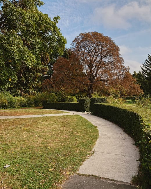 A winding concrete pathway runs through a well-maintained garden, bordered by neatly trimmed hedges on one side and a grass lawn on the other. To the left, large lush trees with dense green foliage ar