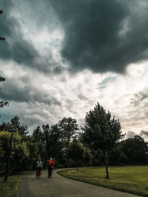 The image depicts a park scene with a curved gravel pathway bordered by neatly maintained grass and a variety of trees, some with dense foliage and others with sparser leaves. The sky above is overcas